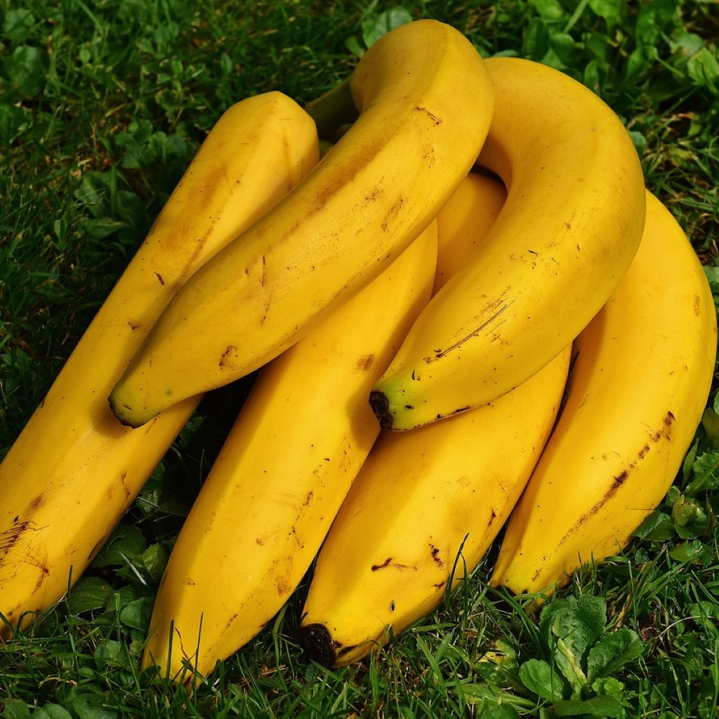 Exotic Fruits
